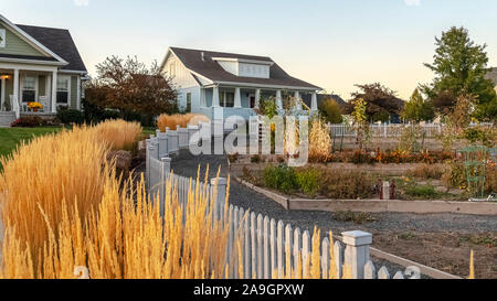 Panorama frame Golden ornamental grass alongside a picket fence Stock Photo