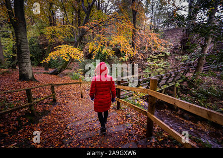 A young women walking towards, across and old wooden bridge in the UK countryside on a cold winters day, hiking a local mountain route, Stock Photo