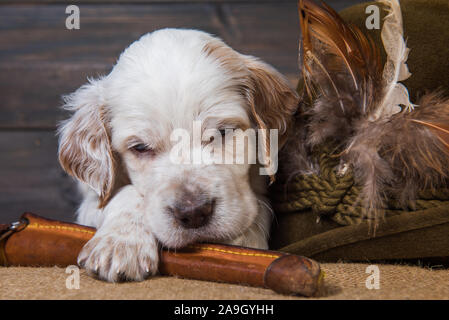 english setter puppy dog with knife and duck