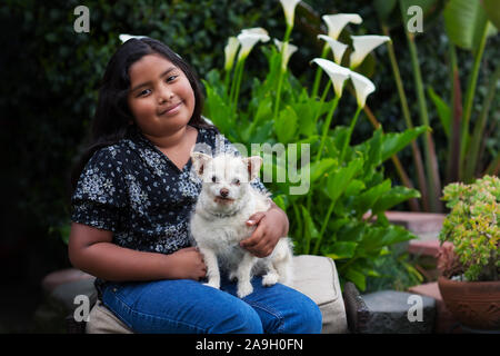 mexican lap dog