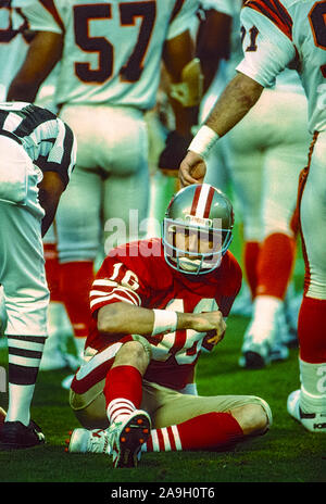 San Francisco 49ers quarterback Joe Montana (R) and Steve Young speak to  each other while wide receiver Jerry Rice (C) holds the 1989 Super Bowl  trophy after an audience of nearly ten