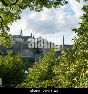 Luxembourg City / Luxembourg - 10 August 2019 - Luxembourg skyline and bridge framed by lush green summer trees Stock Photo