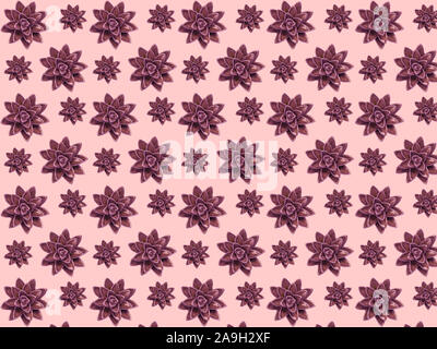 Seamless pattern of photos of ceramic succulents on a pink background. Stock Photo