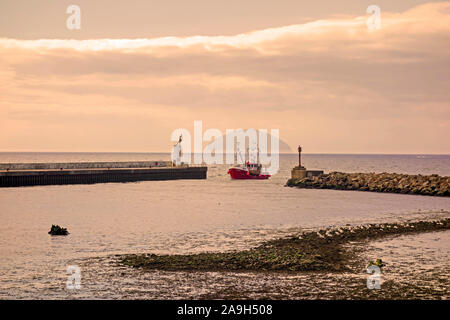 A fishing boat entering the harbour at Girvan in South Ayrshire, Scotland, with Ailsa Craig in the distance. Stock Photo