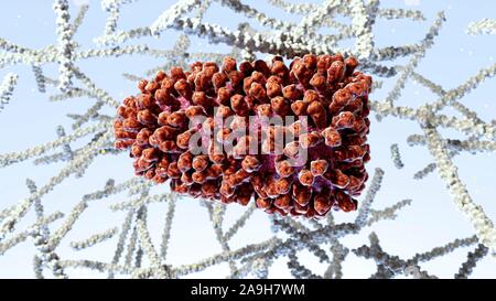 Rabies virus, illustration Stock Photo