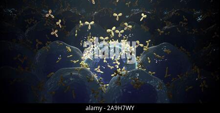 Release of monoclonal antibodies, illustration Stock Photo