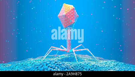 Bacteriophage on bacterium, illustration Stock Photo
