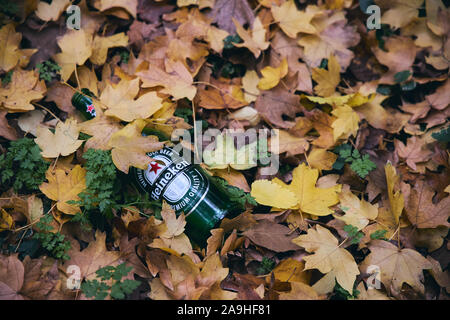 Taganrog, Russia, October 20, 2019: Empty bottle of Heineken beer lying on the ground in a park littered under fallen yellow leaves Stock Photo