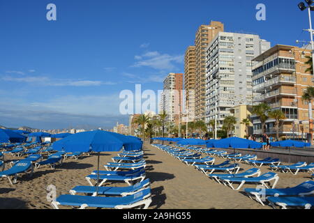 Rows of sun beds and umbrellas for hire on the beach, with people walking on the promenade early in the morning, Benidorm, Alicante Province, Spain Stock Photo