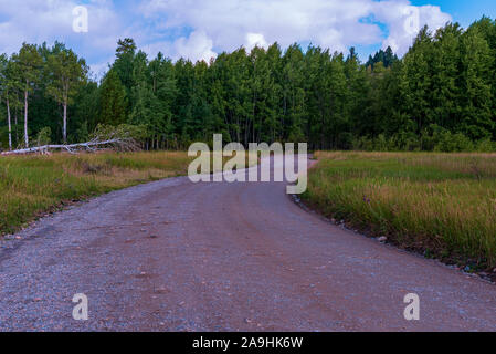 Dirt road leading through green meadows into green forest beyond under blue skies with white fluffy clouds. Stock Photo