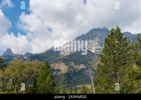 Tall green pines open a view to tall Rocky Mountains under a blue sku with white clouds. Stock Photo