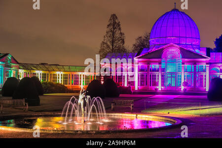 Syon Park, London, UK, 15th November 2019. The Great Conservatory, illuminated. The 'Enchanted Woodland' illuminations in Syon Park and around the historic Syon House once again opens to the public with a trail of beautifully illuminated scenes around the park and the historic Syon House with its Great Conservatory and laser show inside. Enchanted Woodland will be open Fridays to Sundays 15th Nov to 1st Dec, 2019. Credit: Imageplotter/Alamy Live News Stock Photo