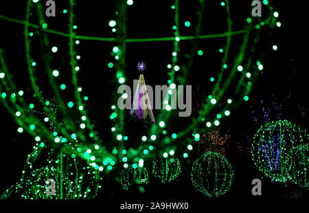 Winter Lights at North Carolina Arboretum - Asheville, North Carolina, USA Stock Photo