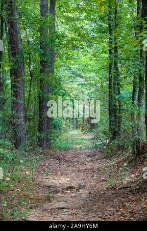 Original Old Trace trail on the Natchez Trace Parkway Mississippi MS ...