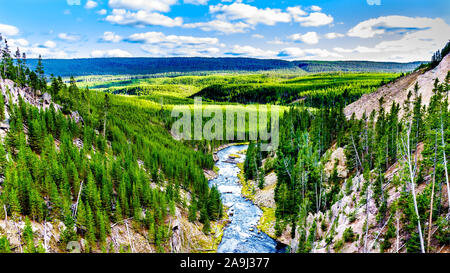 The Gibbon River downstream of Gibbon Falls in Yellowstone National Park in Wyoming, United States of America Stock Photo