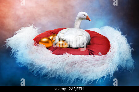 White goose laying golden eggs in a fancy nest. Stock Photo