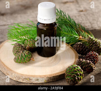 Fir essential oil in the glass bottle with young spruce branches and green cones on a wooden background. Alternative medicine, aromatherapy concept ba Stock Photo