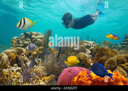 Caribbean sea colorful coral reef with tropical fish and a man snorkeling underwater Stock Photo