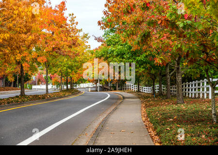 Picturesque autumn city landscape with trees with red and yellow leaves growing alley along the road with a dividing island and a decorative fence alo