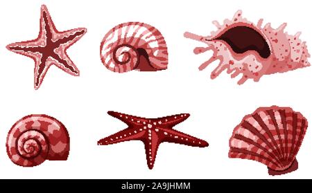 Set of isolated seashells in red color illustration Stock Vector