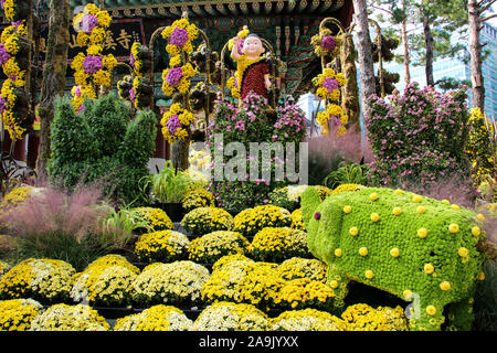 SEOUL, SOUTH KOREA - OCTOBER 20, 2019: Chrysanthemums festival at Jogyesa Temple in Seoul, South Korea. Stock Photo