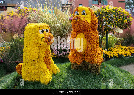 SEOUL, SOUTH KOREA - OCTOBER 20, 2019: Chrysanthemums festival at Jogyesa Temple in Seoul, South Korea. Stock Photo