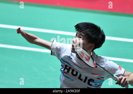 Tokyo, Japan. 16th Nov, 2019. Taiyo Imai (JPN) Badminton : HULIC-DAIHATSU Japan Para-Badminton International 2019 Men's Singles SU5 Semi-final at 1st Yoyogi Gymnasium in Tokyo, Japan. Credit: MATSUO .K/AFLO SPORT/Alamy Live News Stock Photo