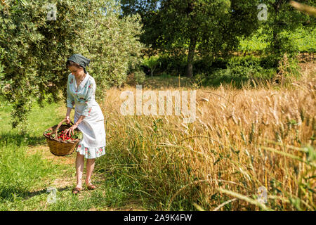 Woman in 40s clothes walks in the Italian countryside, next to a wheat field, carrying a basket of cherries Stock Photo