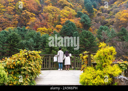 Unidentified couple with autumn view in The Garden of Morning Calm Gapyeong district of South Korea. Stock Photo