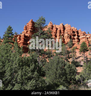 in USA  bryce   national  park the beauty of amazing nature tourist destination Stock Photo