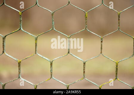 old rusty hexagonal mesh fence with blurred bokeh. Stock Photo