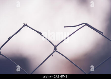 Barbed wire fence close up. Blurred background Stock Photo