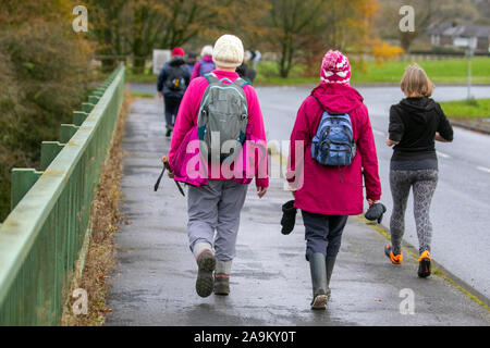 Chorley, Lancashire. UK Weather. 16th Nov, 2019. Cold, wet, blustry, cloudy day in rural Chorley. Age concern social groups organised by older people for older people throughout the UK. Credit: MediaWorldImages/Alamy Live News Stock Photo