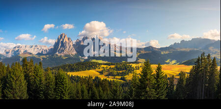 Alpe di Siusi or Seiser Alm, Dolomites Alps Sassolungo and Sassopiatto mountains, Trentino Alto Adige Sud Tyrol, Italy, Europe Stock Photo