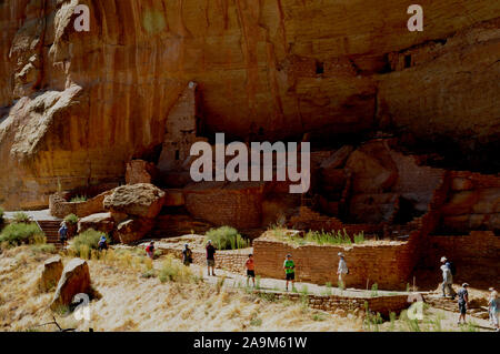 The cliff dwelling known as The Long House in the Wetherill Mesa sector ...