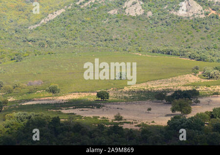 Oak woodlands and Mediterranean scrubland in Sierra Madrona natural park, southern Spain Stock Photo