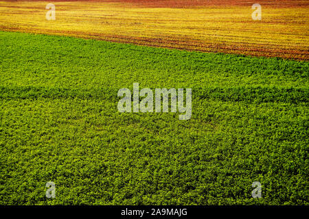 A wrinkle on earth Stock Photo