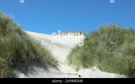 Beach Sand Dune Sea Farewell Spit in New Zealand Stock Photo