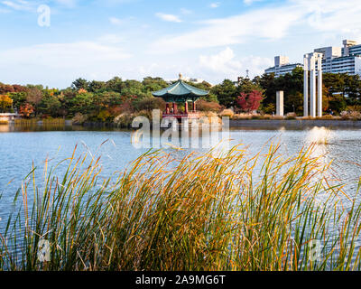 travel to South Korea - green grass and Geowul pond in front of National Museum of Korea in Seoul city on sunny autumn day