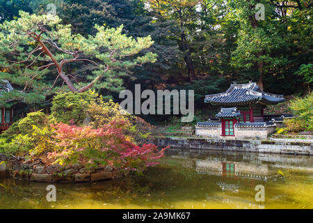 SEOUL, SOUTH KOREA - OCTOBER 31, 2019: colorful pine tree in Buyeongji pond with Buyongjeong Pavilion in Huwon Secret Rear Garden of Changdeokgung Pal Stock Photo