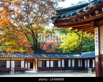 SEOUL, SOUTH KOREA - OCTOBER 31, 2019: buildings of Yeongyeongdang residence in Huwon Secret Rear Garden of Changdeokgung Palace Complex in Seoul city