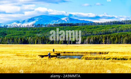 Fly fishing in the Madison River as it winds its way through the Grasslands in Yellowstone National Park in Wyoming, United States of America Stock Photo