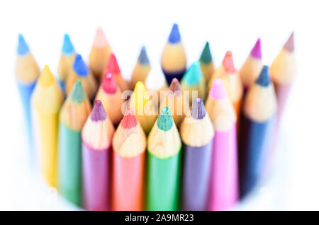 bright vibrant colored pencils in line on white background Stock Photo