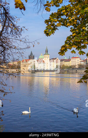 Beautiful cityscape with swans on Vltava river, Tower of Charles bridge, churches and museums, Prague, Czech Republic Stock Photo