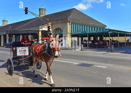 New Orleans, LA, USA - September 26, 2019:Donkey drawn carriage crosses Decatur St by Cafe Du Monde which was established in 1862. Stock Photo