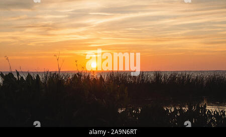 The sun sets over tall grass at Lake Apopka in Florida. Stock Photo