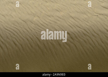 Textured background of golden sand by the Atlantic Ocean in Arcachon, France Stock Photo