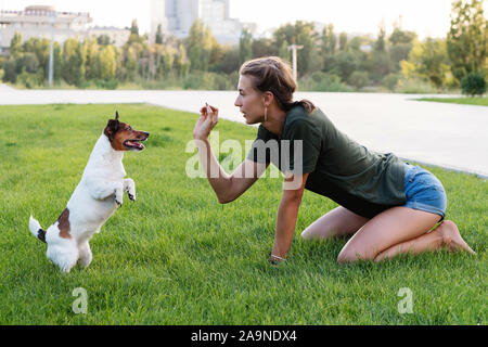 Attractive girl walk the dog. Jack Russell Terrier. Having fun playing in outdoors. Playful mood. Enjoying freedom. Friends together. Concepts of frie Stock Photo