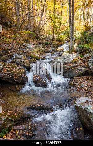 Smith Creek, downstream from Anna Ruby Falls near Unicoi State Park in Helen, Georgia. (USA) Stock Photo