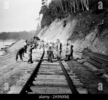 Industries of War - Lumbering - TRACK LAYING NORTH OF YAQUINA, ADJUSTING THE TRACKS ca. 1915-1920 Stock Photo